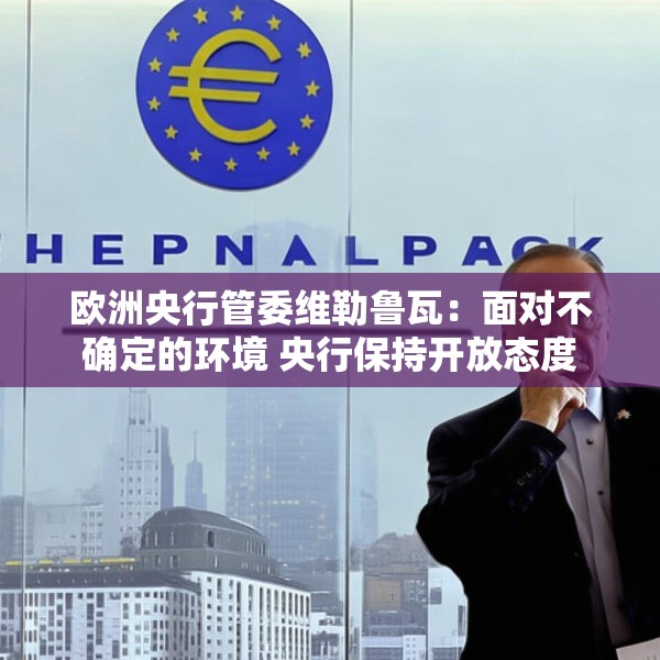 欧洲央行管委维勒鲁瓦：面对不确定的环境 央行保持开放态度