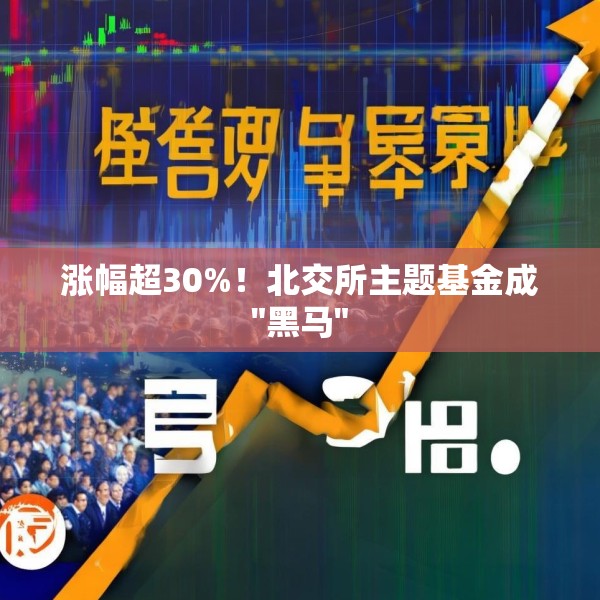 涨幅超30%！北交所主题基金成
