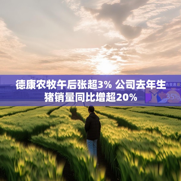 德康农牧午后张超3% 公司去年生猪销量同比增超20%
