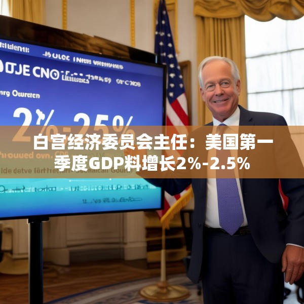 白宫经济委员会主任：美国第一季度GDP料增长2%-2.5%