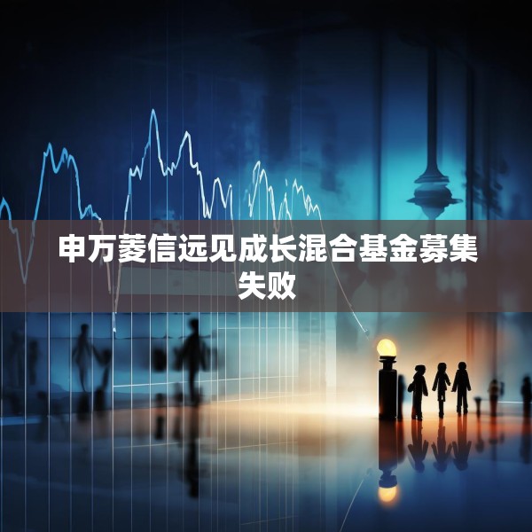 申万菱信远见成长混合基金募集失败