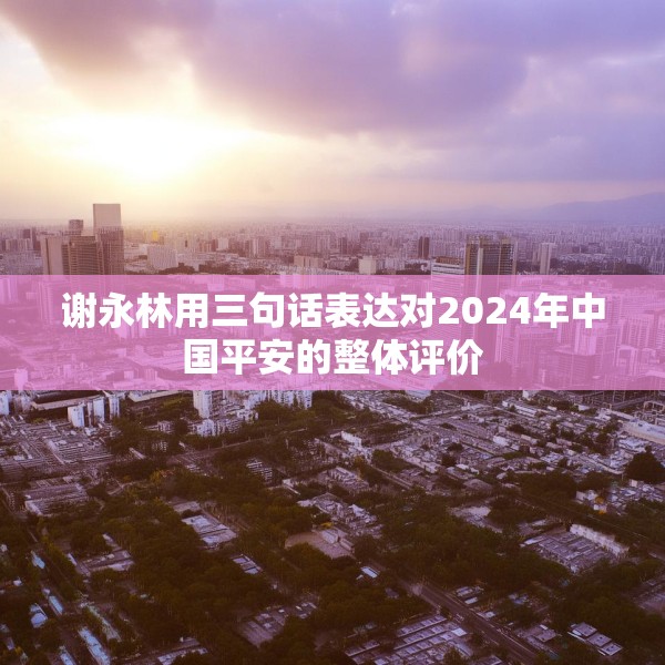 谢永林用三句话表达对2024年中国平安的整体评价