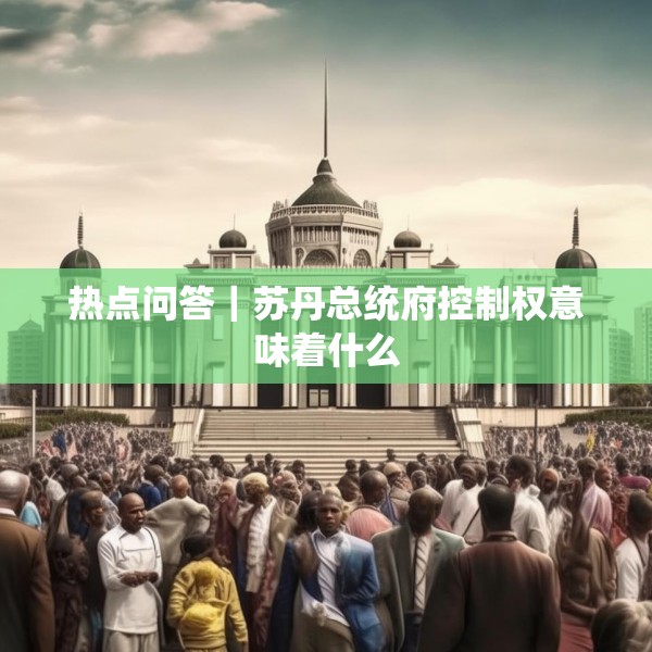 热点问答｜苏丹总统府控制权意味着什么