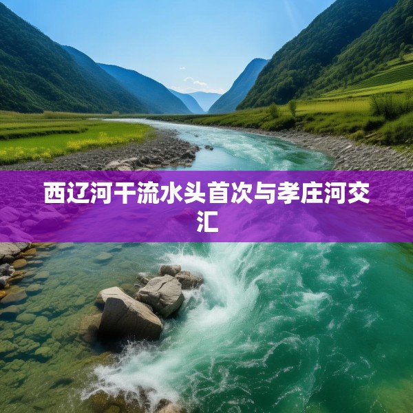 2025年3月23日 第24页