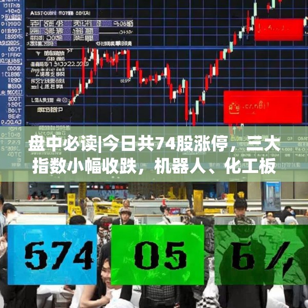 2025年3月27日 第31页