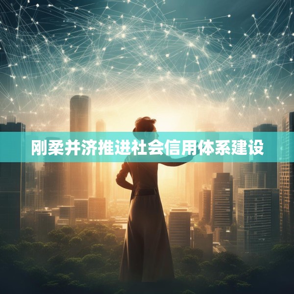 刚柔并济推进社会信用体系建设