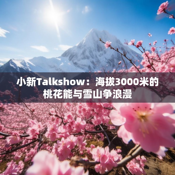 小新Talkshow：海拔3000米的桃花能与雪山争浪漫