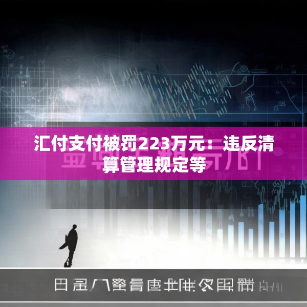 汇付支付被罚223万元：违反清算管理规定等