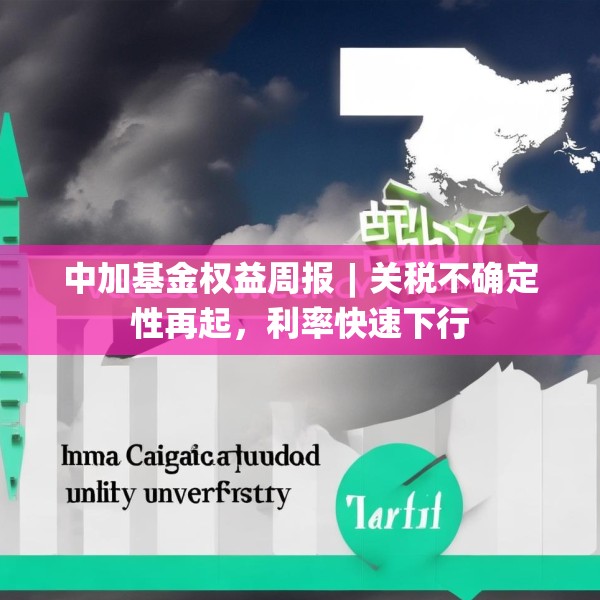 中加基金权益周报︱关税不确定性再起，利率快速下行