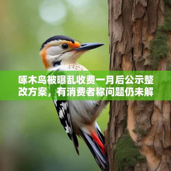 啄木鸟被曝乱收费一月后公示整改方案，有消费者称问题仍未解决