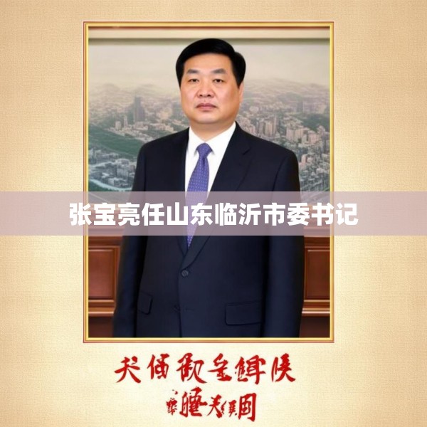 张宝亮任山东临沂市委书记