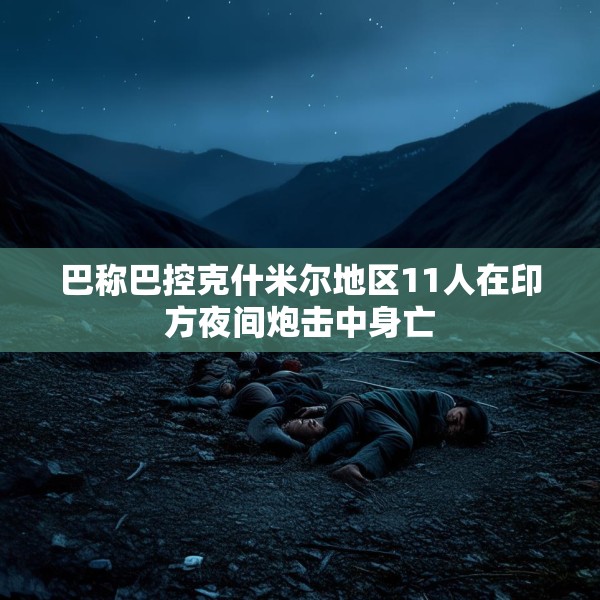 巴称巴控克什米尔地区11人在印方夜间炮击中身亡