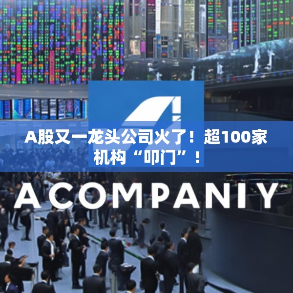 A股又一龙头公司火了！超100家机构“叩门”！