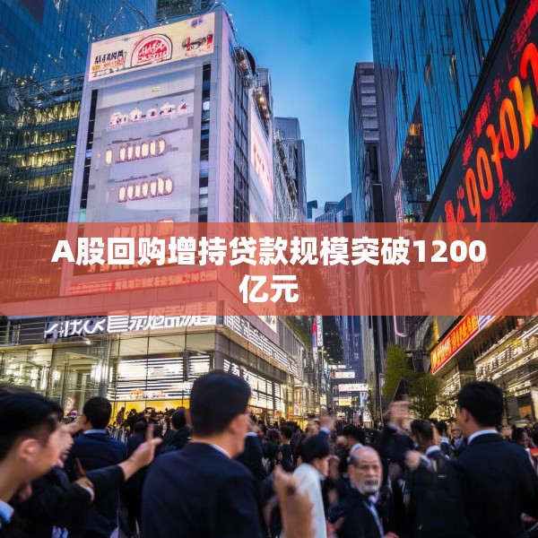 2025年5月20日 第13页