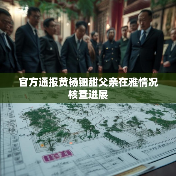 官方通报黄杨钿甜父亲在雅情况核查进展