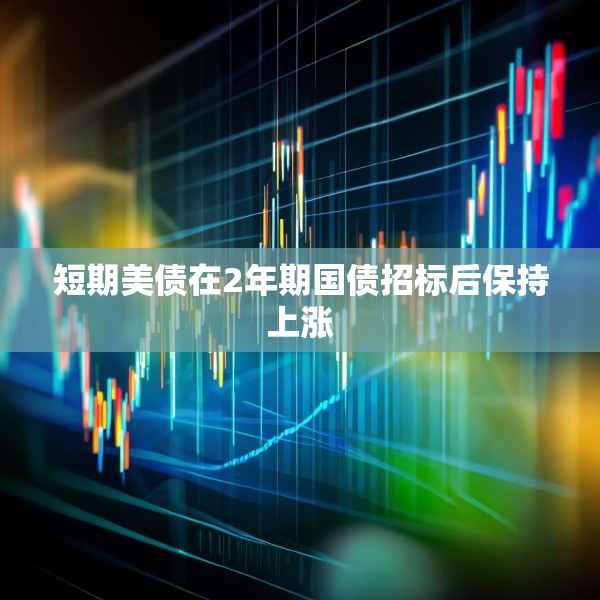 短期美债在2年期国债招标后保持上涨