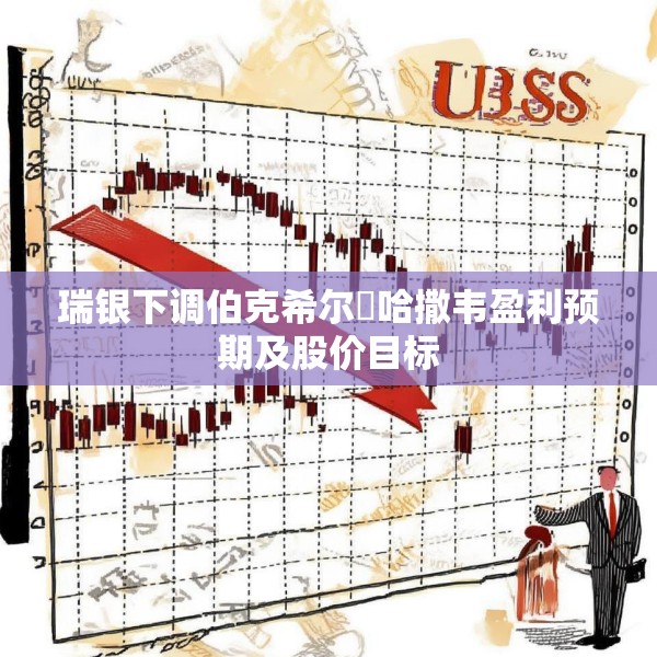 瑞银下调伯克希尔・哈撒韦盈利预期及股价目标