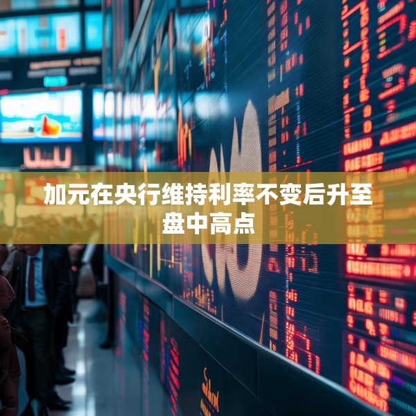 加元在央行维持利率不变后升至盘中高点