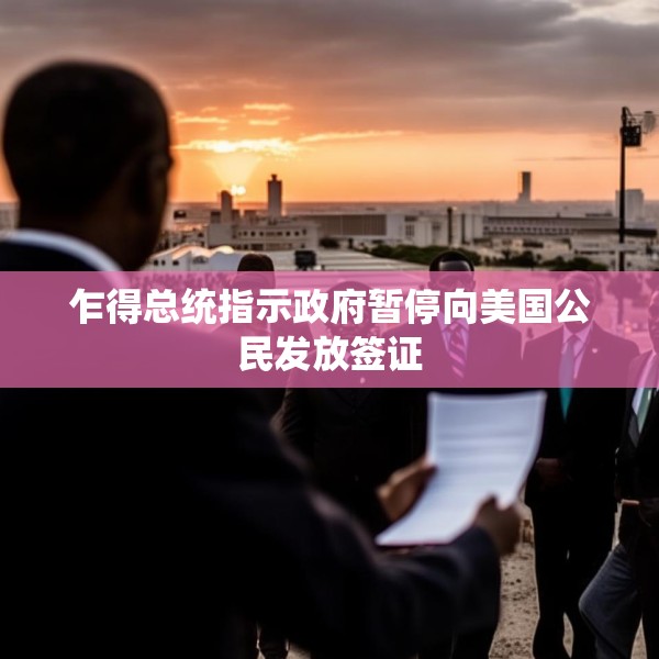 乍得总统指示政府暂停向美国公民发放签证