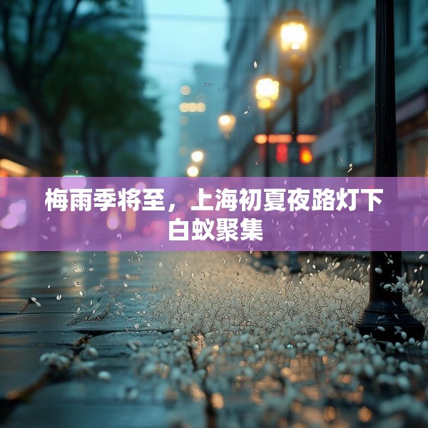 梅雨季将至，上海初夏夜路灯下白蚁聚集