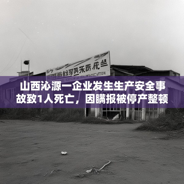 山西沁源一企业发生生产安全事故致1人死亡，因瞒报被停产整顿