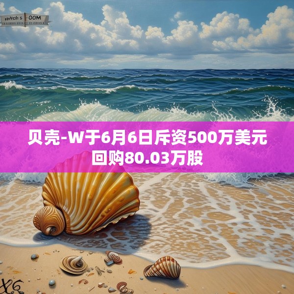 贝壳-W于6月6日斥资500万美元回购80.03万股