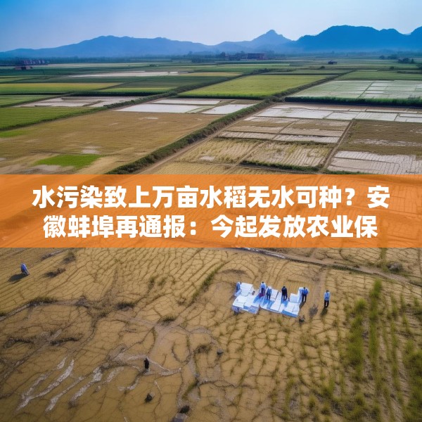 水污染致上万亩水稻无水可种？安徽蚌埠再通报：今起发放农业保险赔付