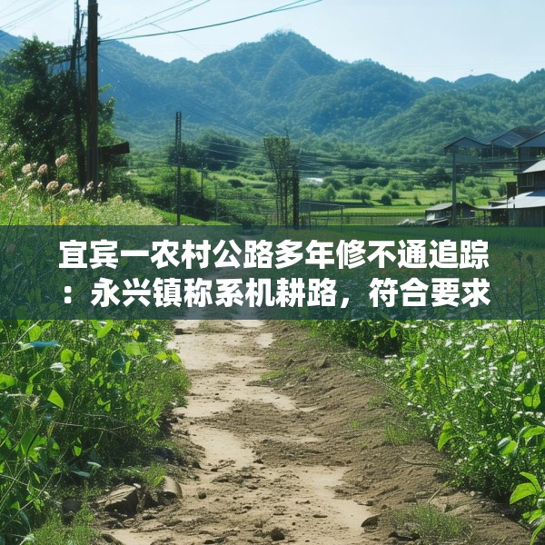 宜宾一农村公路多年修不通追踪：永兴镇称系机耕路，符合要求