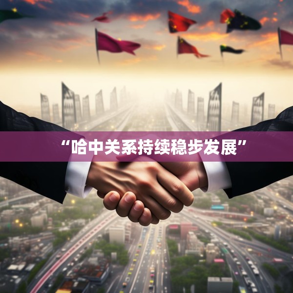 “哈中关系持续稳步发展”